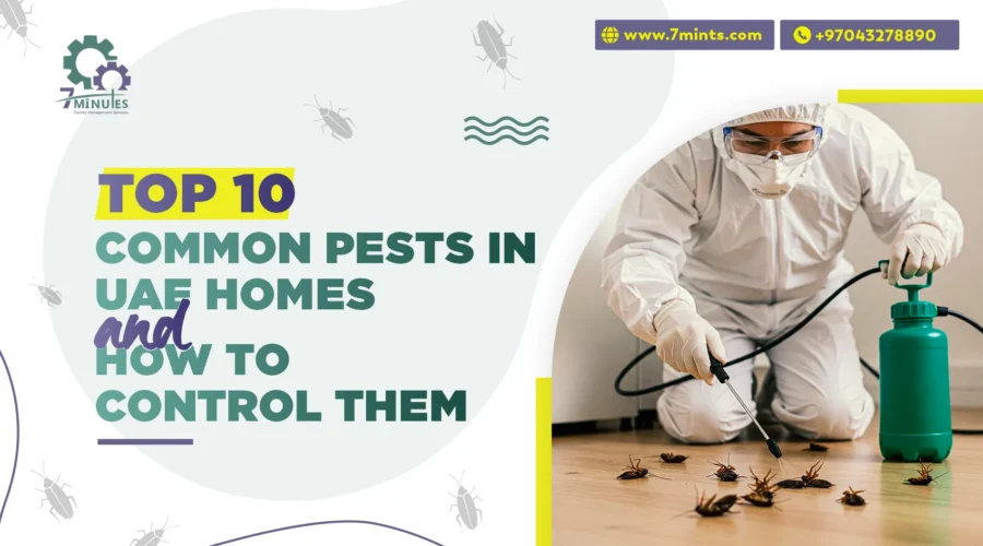 Top 10 Common Pests in UAE Homes and How to Control Them