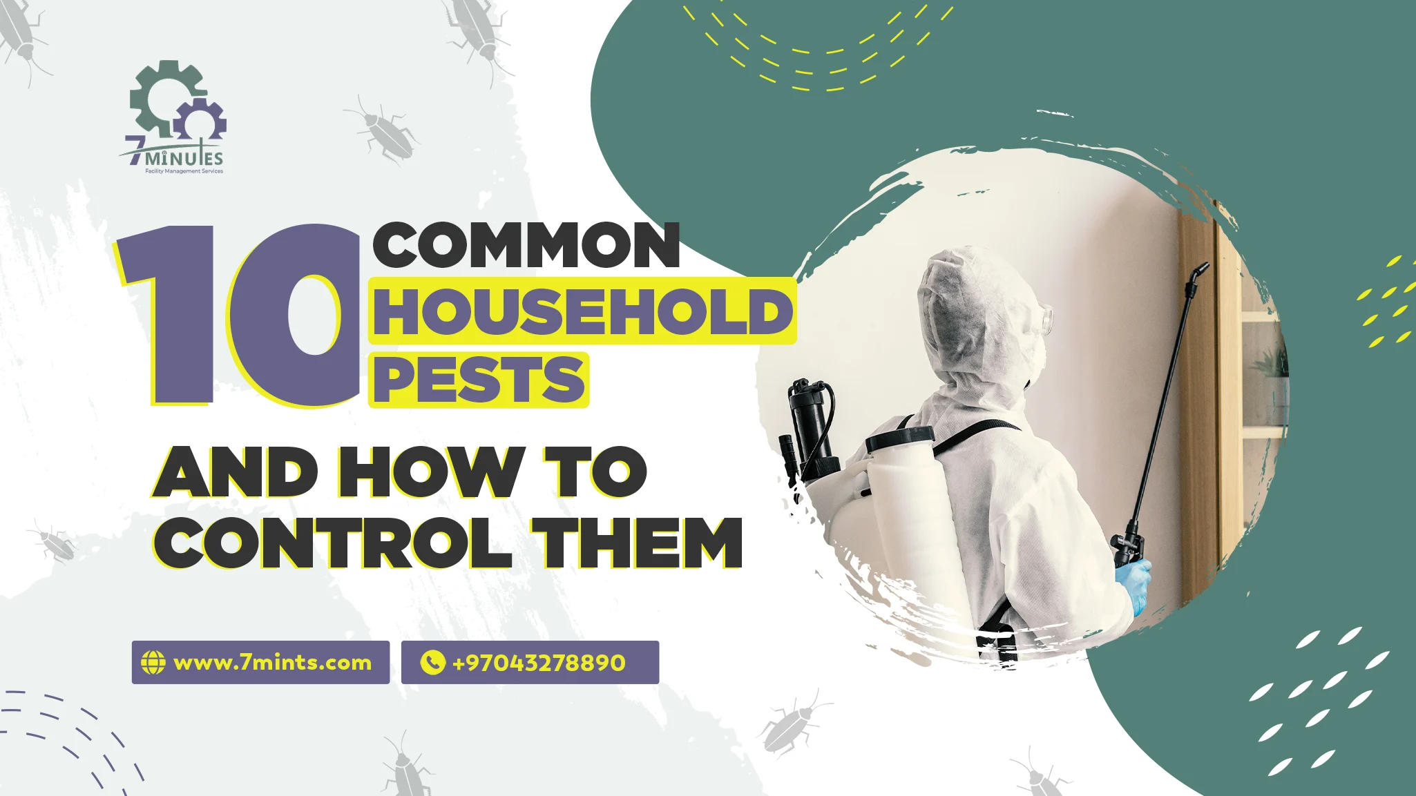 10 Common Household Pests and How to Control Them | 7mints