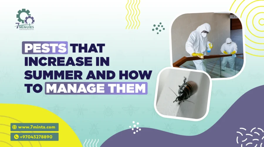 Pests That Increase in Summer and How to Manage Them