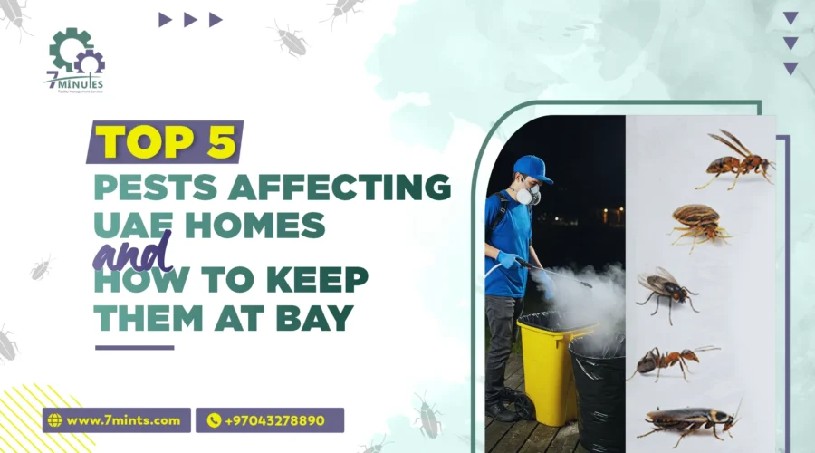 Pests Affecting UAE Homes and How to Keep Them at Bay