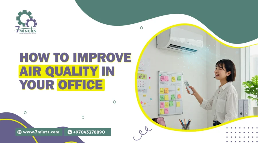 Improve Air Quality in Your Office