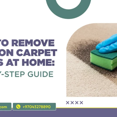 How to Remove Common Carpet Stains