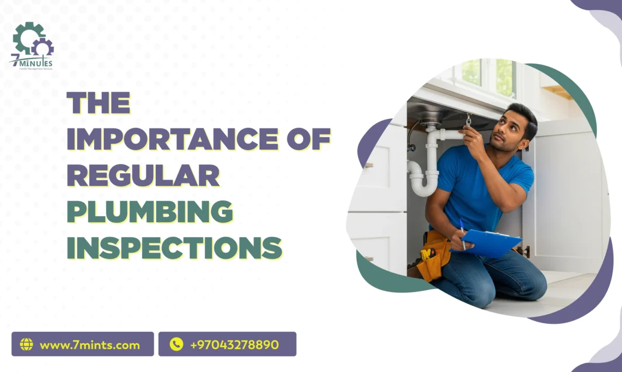 Plumbing Inspections