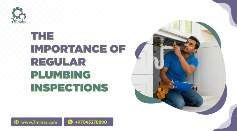Plumbing Inspections